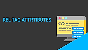 XFN Nedir? XFN Bağlantı Türleri Nelerdir?